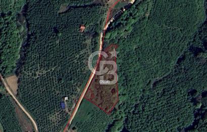 SAKARYA ERENLER EKİNLİ KÖYÜNDE YATIRIMLIK 5077 M2 SATILIK TARLA