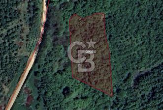 SAKARYA ERENLER EKİNLİ KÖYÜNDE YATIRIMLIK 3260 M2 SATILIK TARLA
