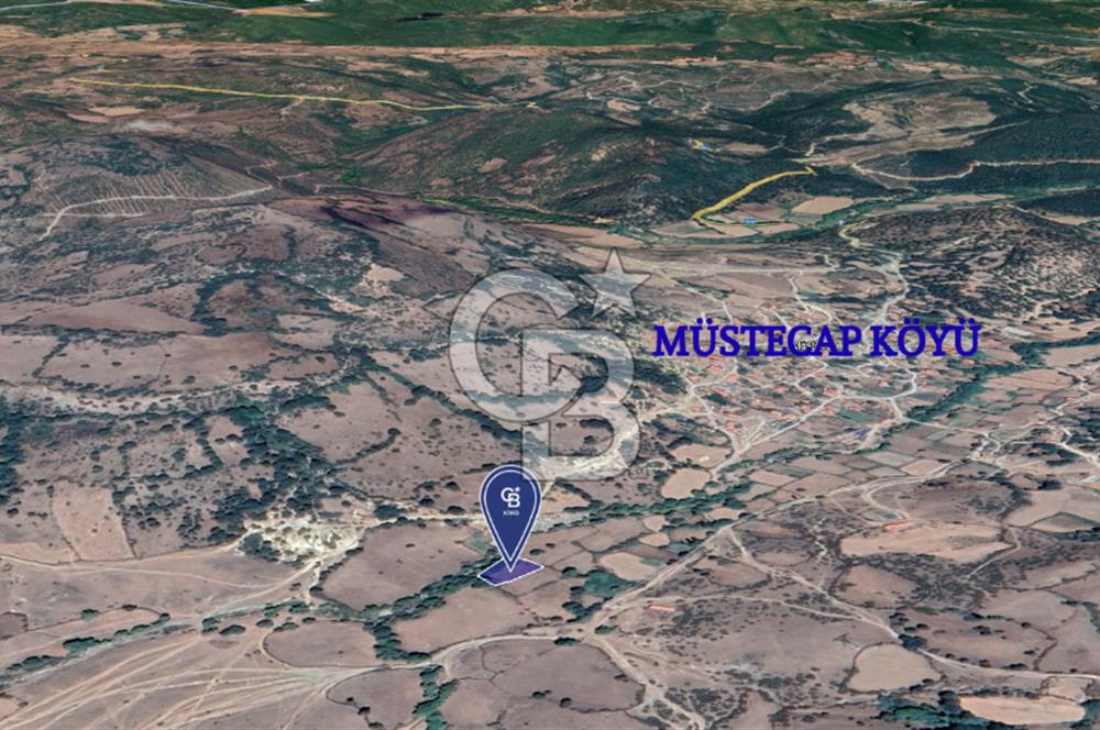 CB KİNG'DEN BALIKESİR/BALYA MÜSTECAP MAHALLESİ SATILIK BAHÇE