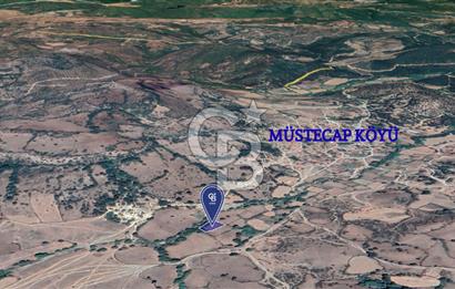CB KİNG'DEN BALIKESİR/BALYA MÜSTECAP MAHALLESİ SATILIK BAHÇE