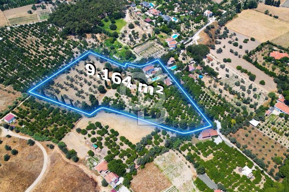  Urla Ağaçlı yol’da Satılık Müstakil Havuzlu Malikane