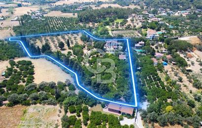  Urla Ağaçlı yol’da Satılık Müstakil Havuzlu Malikane