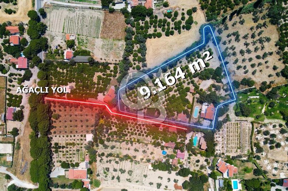  Urla Ağaçlı yol’da Satılık Müstakil Havuzlu Malikane