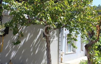 KEMALPAŞA ARMUTLU ÇARŞIKLI MEVKİNDE 4 CEPHE ORMAN MANZARALI BAHÇELİ MÜSTAKİL EV