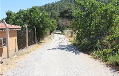 KEMALPAŞA ARMUTLU ÇARŞIKLI MEVKİNDE 4 CEPHE ORMAN MANZARALI BAHÇELİ MÜSTAKİL EV