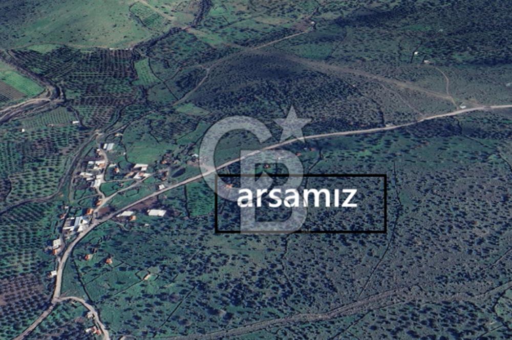 ALİAĞA DA SATILIK TAPULU TARLA