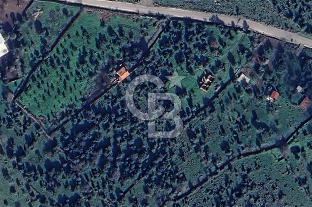 ALİAĞA DA SATILIK TAPULU TARLA