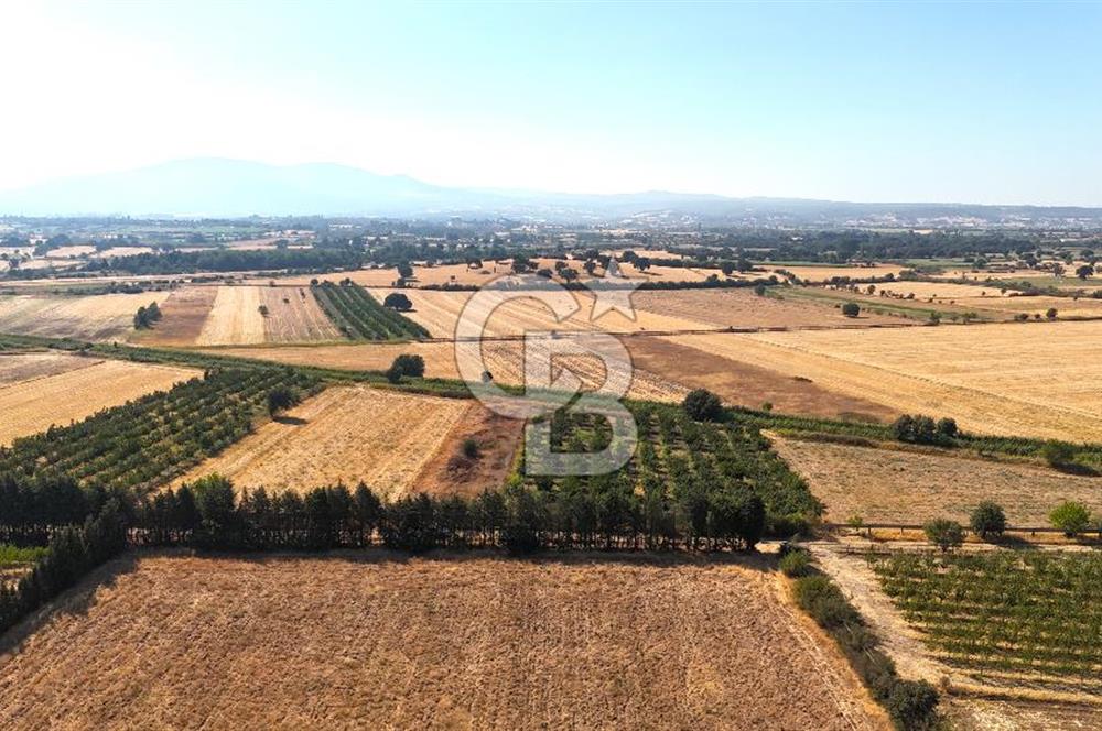 Çanakkale Bayramiç Ahmetçeli Satılık Yolu Olan 1871 m2 Tarla