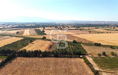 Çanakkale Bayramiç Ahmetçeli Satılık Yolu Olan 1871 m2 Tarla