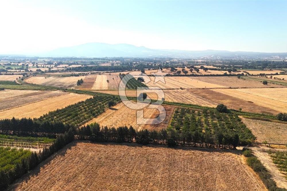 Çanakkale Bayramiç Ahmetçeli Satılık Yolu Olan 1871 m2 Tarla