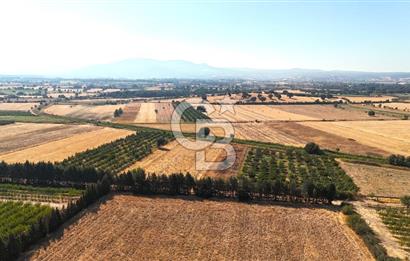 Çanakkale Bayramiç Ahmetçeli Satılık Yolu Olan 1871 m2 Tarla