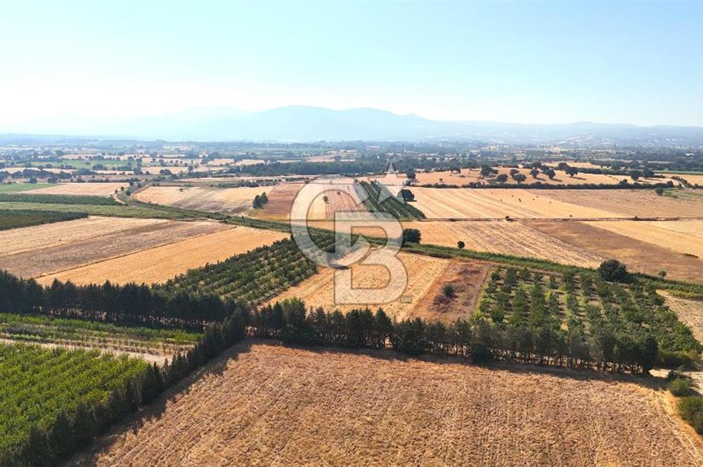 Çanakkale Bayramiç Ahmetçeli Satılık Yolu Olan 1871 m2 Tarla