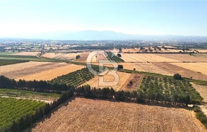 Çanakkale Bayramiç Ahmetçeli Satılık Yolu Olan 1871 m2 Tarla