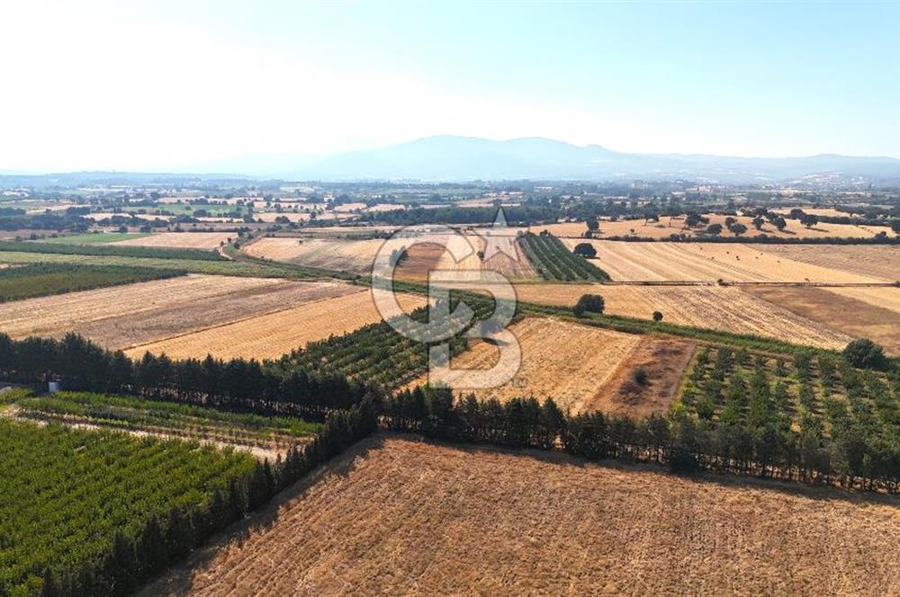 Çanakkale Bayramiç Ahmetçeli Satılık Yolu Olan 1871 m2 Tarla