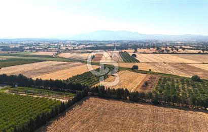 Çanakkale Bayramiç Ahmetçeli Satılık Yolu Olan 1871 m2 Tarla