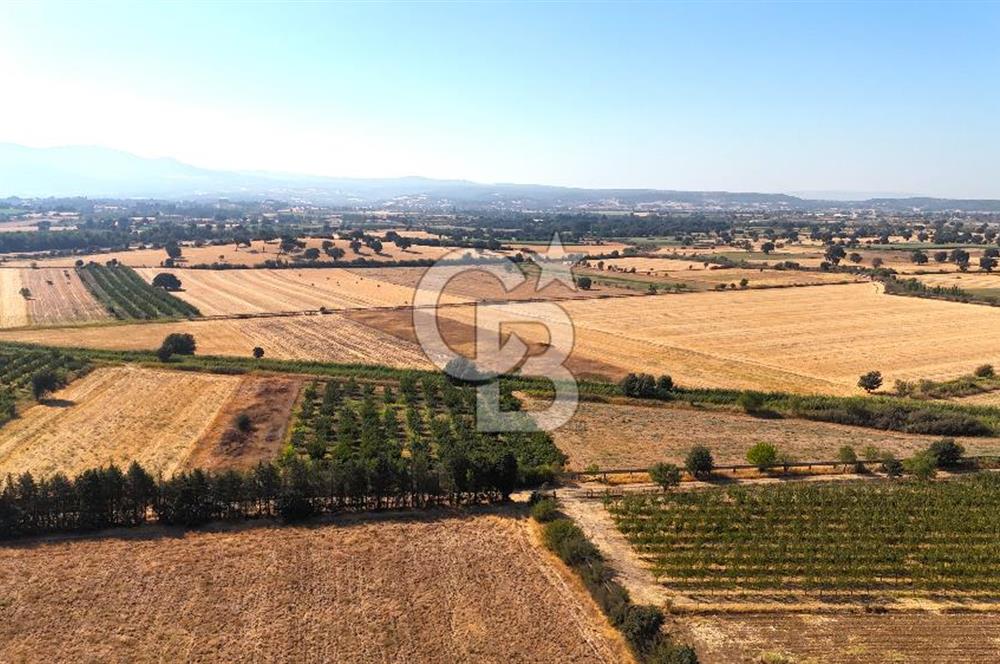 Çanakkale Bayramiç Ahmetçeli Satılık Yolu Olan 1871 m2 Tarla