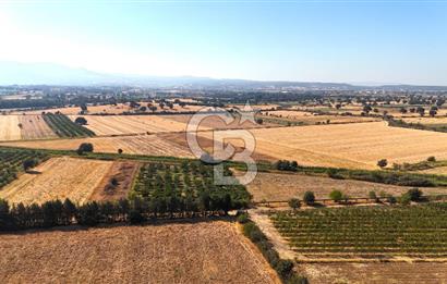 Çanakkale Bayramiç Ahmetçeli Satılık Yolu Olan 1871 m2 Tarla