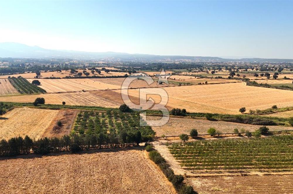 Çanakkale Bayramiç Ahmetçeli Satılık Yolu Olan 1871 m2 Tarla
