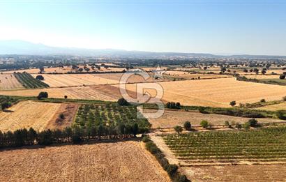 Çanakkale Bayramiç Ahmetçeli Satılık Yolu Olan 1871 m2 Tarla