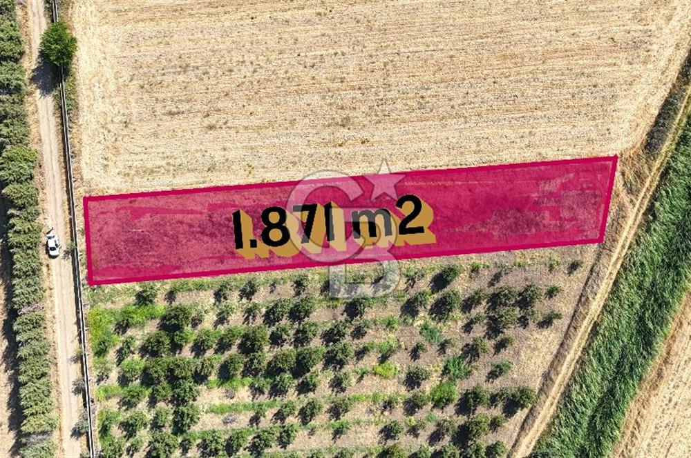 Çanakkale Bayramiç Ahmetçeli Satılık Yolu Olan 1871 m2 Tarla