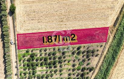 Çanakkale Bayramiç Ahmetçeli Satılık Yolu Olan 1871 m2 Tarla