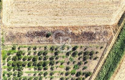 Çanakkale Bayramiç Ahmetçeli Satılık Yolu Olan 1871 m2 Tarla