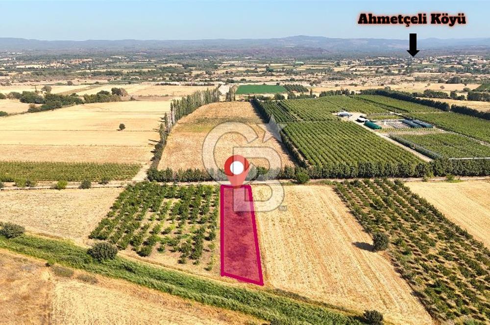 Çanakkale Bayramiç Ahmetçeli Satılık Yolu Olan 1871 m2 Tarla