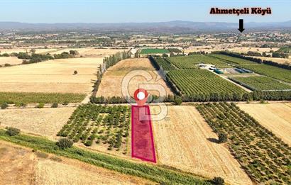 Çanakkale Bayramiç Ahmetçeli Satılık Yolu Olan 1871 m2 Tarla