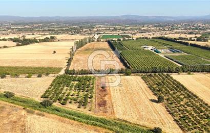 Çanakkale Bayramiç Ahmetçeli Satılık Yolu Olan 1871 m2 Tarla