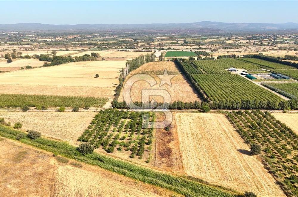 Çanakkale Bayramiç Ahmetçeli Satılık Yolu Olan 1871 m2 Tarla