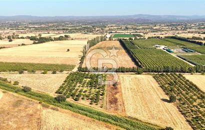 Çanakkale Bayramiç Ahmetçeli Satılık Yolu Olan 1871 m2 Tarla