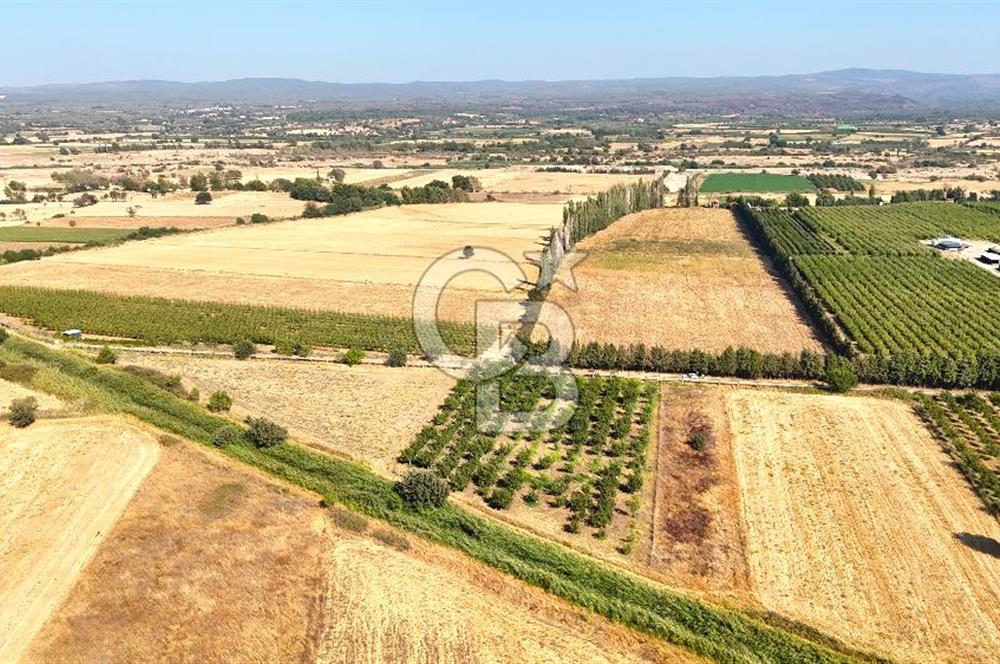 Çanakkale Bayramiç Ahmetçeli Satılık Yolu Olan 1871 m2 Tarla