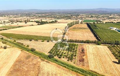 Çanakkale Bayramiç Ahmetçeli Satılık Yolu Olan 1871 m2 Tarla