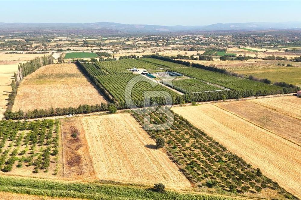 Çanakkale Bayramiç Ahmetçeli Satılık Yolu Olan 1871 m2 Tarla