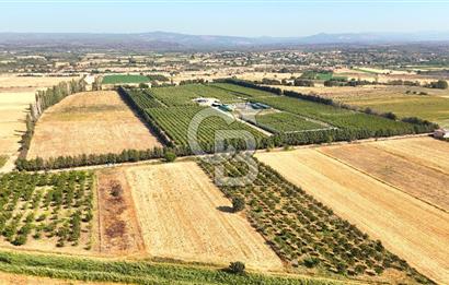 Çanakkale Bayramiç Ahmetçeli Satılık Yolu Olan 1871 m2 Tarla