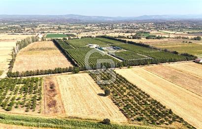 Çanakkale Bayramiç Ahmetçeli Satılık Yolu Olan 1871 m2 Tarla