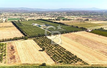Çanakkale Bayramiç Ahmetçeli Satılık Yolu Olan 1871 m2 Tarla