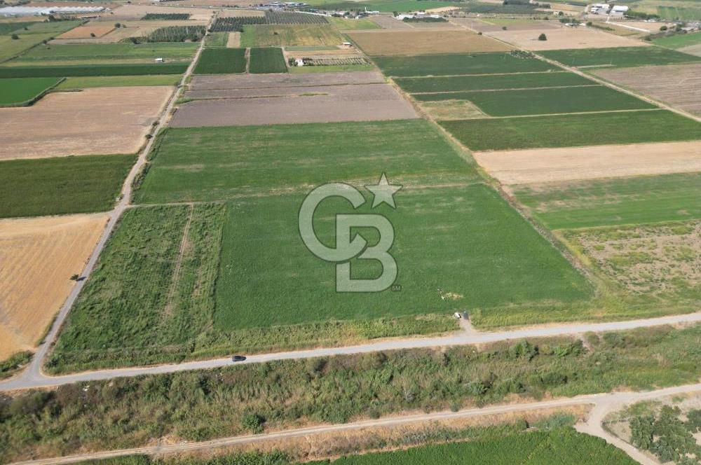 AYVALIK ALTINOVA SATILIK TARLA 26.300 m² 190 METRE YOL CEPHELİ