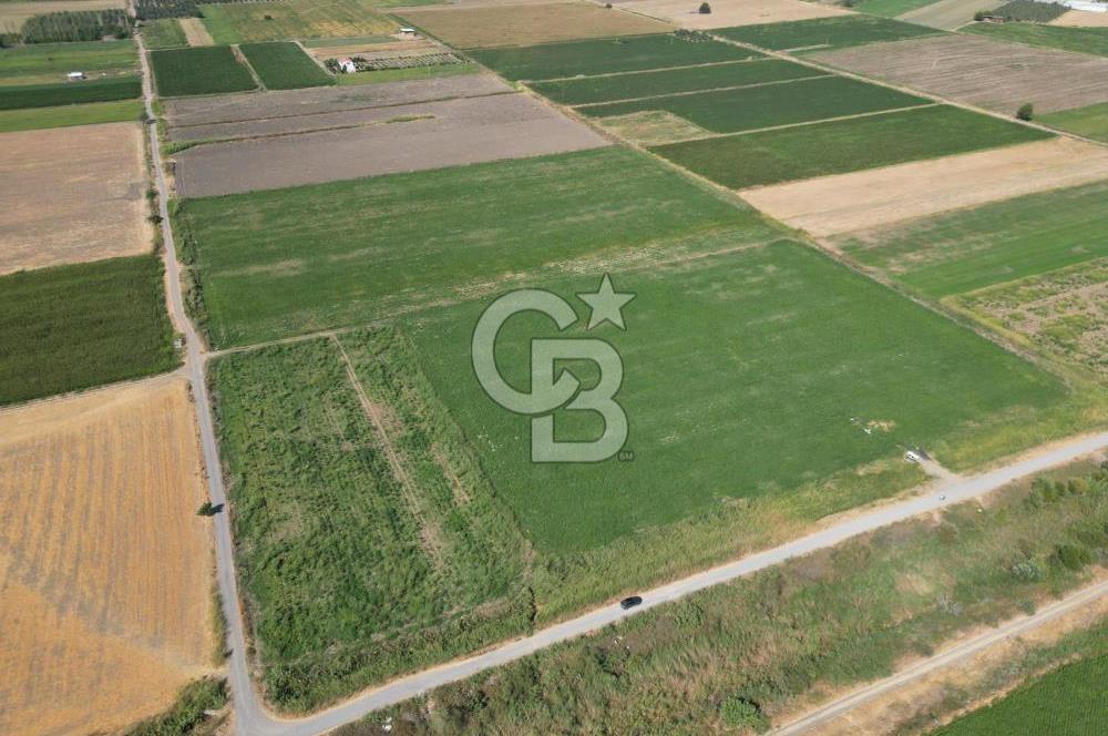 AYVALIK ALTINOVA SATILIK TARLA 26.300 m² 190 METRE YOL CEPHELİ