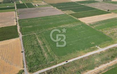 AYVALIK ALTINOVA SATILIK TARLA 26.300 m² 190 METRE YOL CEPHELİ