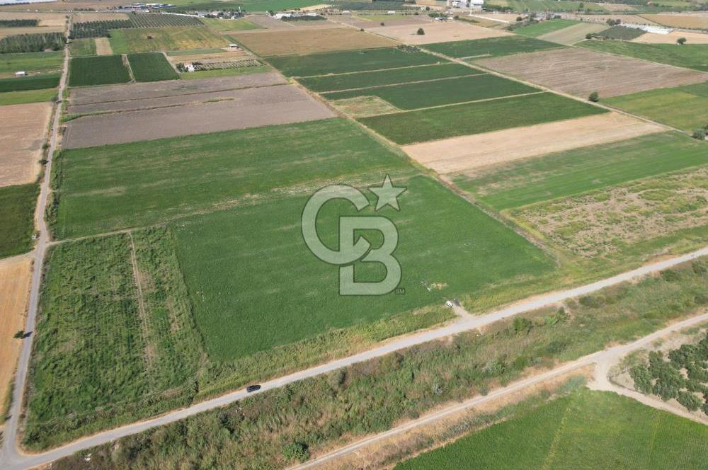 AYVALIK ALTINOVA SATILIK TARLA 26.300 m² 190 METRE YOL CEPHELİ