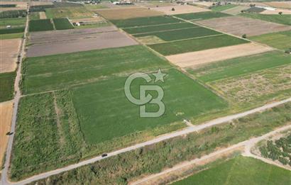 AYVALIK ALTINOVA SATILIK TARLA 26.300 m² 190 METRE YOL CEPHELİ