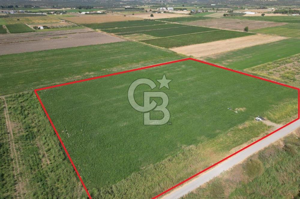 AYVALIK ALTINOVA SATILIK TARLA 26.300 m² 190 METRE YOL CEPHELİ