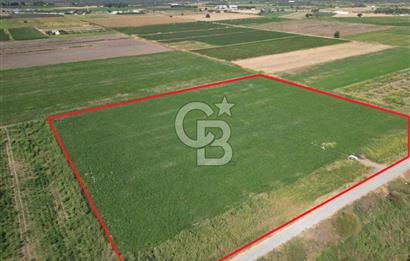 AYVALIK ALTINOVA SATILIK TARLA 26.300 m² 190 METRE YOL CEPHELİ