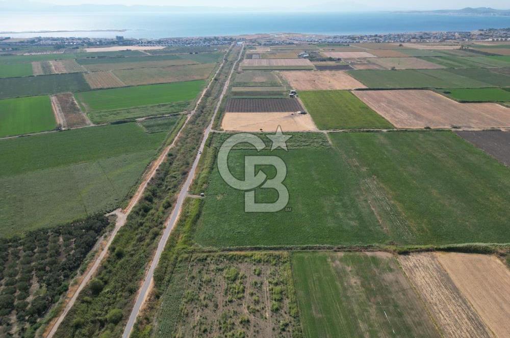 AYVALIK ALTINOVA SATILIK TARLA 26.300 m² 190 METRE YOL CEPHELİ