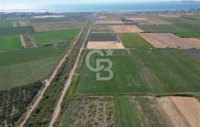 AYVALIK ALTINOVA SATILIK TARLA 26.300 m² 190 METRE YOL CEPHELİ