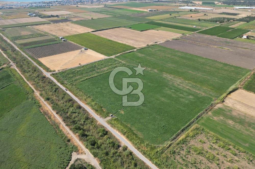 AYVALIK ALTINOVA SATILIK TARLA 26.300 m² 190 METRE YOL CEPHELİ