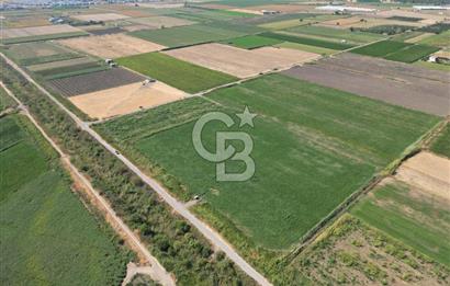 AYVALIK ALTINOVA SATILIK TARLA 26.300 m² 190 METRE YOL CEPHELİ