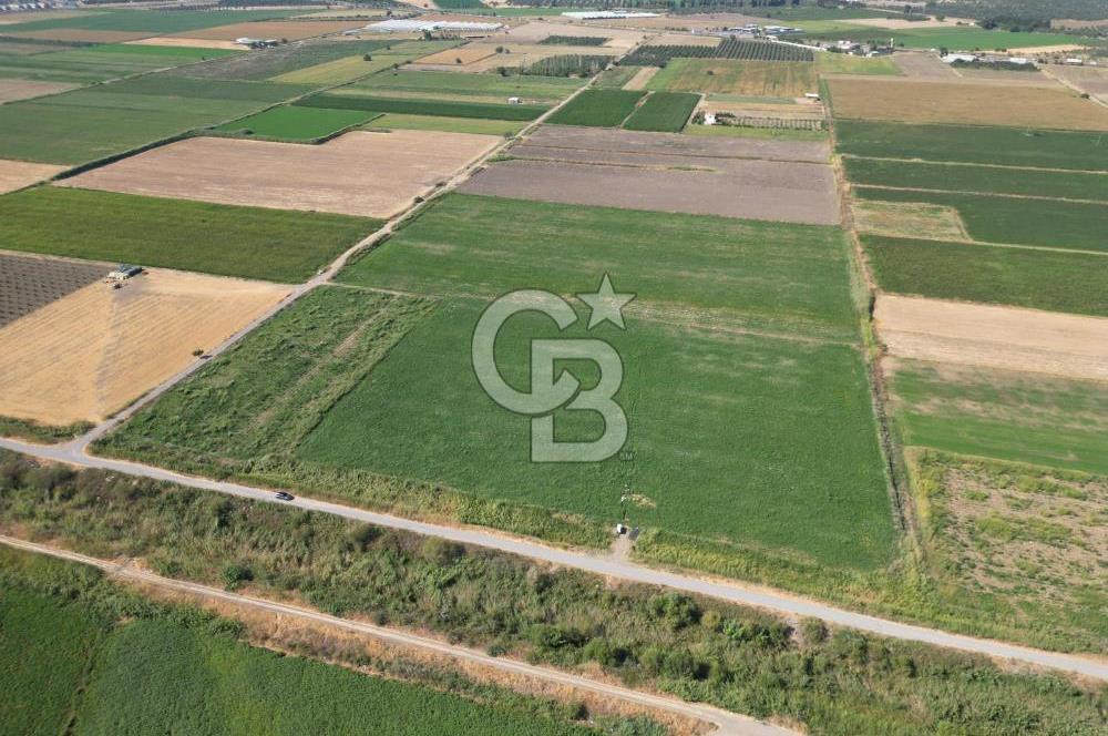 AYVALIK ALTINOVA SATILIK TARLA 26.300 m² 190 METRE YOL CEPHELİ