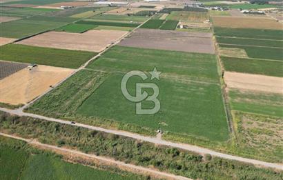 AYVALIK ALTINOVA SATILIK TARLA 26.300 m² 190 METRE YOL CEPHELİ